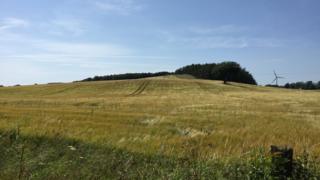 Field beside Pilmuir Road