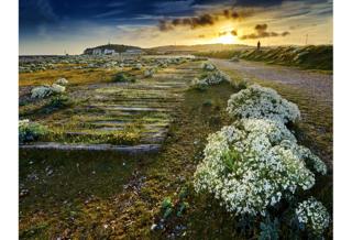 Tide Mills - Matthew Thomas / www.igpoty.com