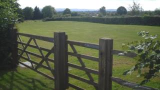 View across meadow