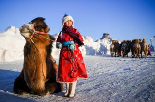 A Mongolian girl poses for photo with a camel.