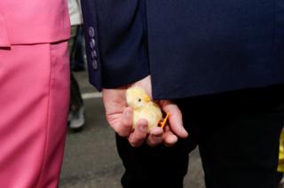 A puppet chick is seen in the hand of a participant.