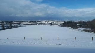 Snow disruption 12 February