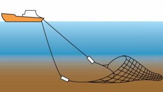 බොටම් ට්රෝලින් පන්න ක්රමය