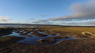 Scrape at Nigg Bay