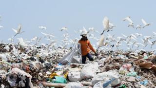 A Sri Lankan worker sorts garbage at a dump in Karadiyana, a suburb of Colombo on April 20, 2017, after the city's main landfill closed after a garbage mountain collapsed killing 32 people and destroying 145 homes. The Colombo municipality obtained permission from court to override protests from local residents and move garbage to Karadiyana as a temporary measure until a permanent solution to Colombos garbage problem is found. / AFP PHOTO / Ishara S. KODIKARA (Photo credit should read ISHARA S. KODIKARA/AFP/Getty Images)