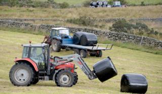 Tractors in a field