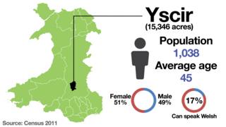 Yscir stats