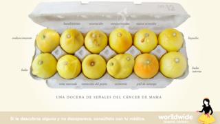 Una docena de limones que ilustran los síntomas del cáncer de mama