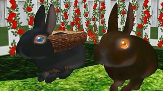 Virtual rabbits