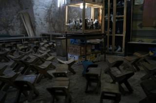 Pigeons are seen in a cage before the start of a pigeon auction in Sanliurfa, Turkey