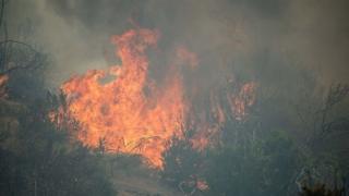 Incendio forestal en Chile.