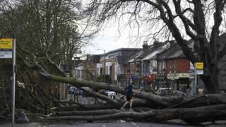 A fallen tree brought down by Storm Doris lies across a main road in Isleworth in London