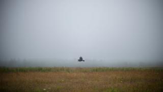 Culloden Battlefield
