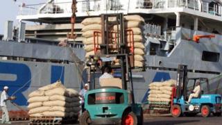 Des centaines de milliers de fèves de cacao sont en train de pourrir dans les ports de San Pedro et d'Abidjan.