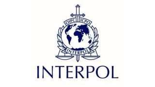 interpol logosu