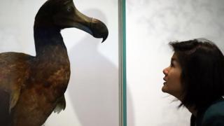 (图片来源: Getty Images)