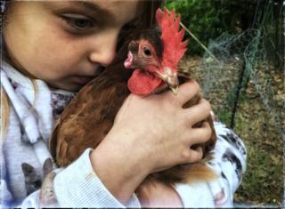 A girl hugs her chicken in West Penwith.