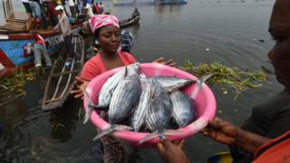 Fishers landing tuna catch, Ivory Coast (Image: FAO/Sia Kambou)