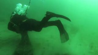 Scallop diver
