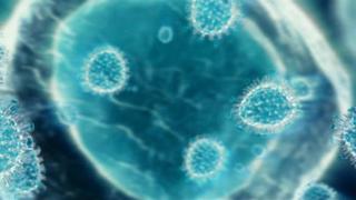 Swine flu virus multiplication, shown in this animation sequence (footage) released from Novartis pharmaceutical company