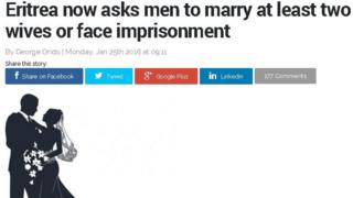 Screen grab from online newspaper