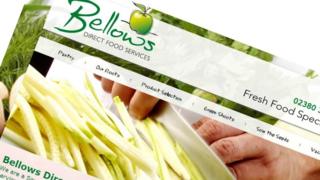 SJ Bellows website