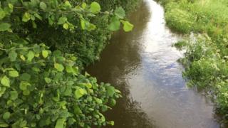 River Dulas is a tributary which enters the Teifi in Lampeter
