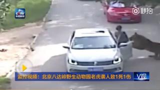 中国中央電視台が放送した現場映像より