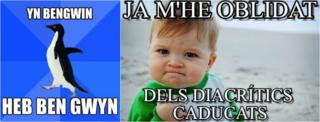 Memynnau mewn Cymraeg a Chatalaneg