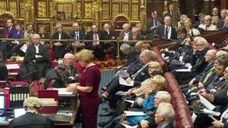 Theresa May in the House of Lords
