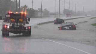 harvey