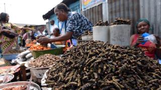 caterpillars on sale in Kinshasa