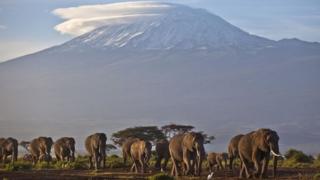 Mount Kilimanjaro in Tanzania