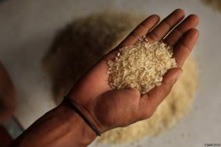 Hand holding rice in Bangladesh