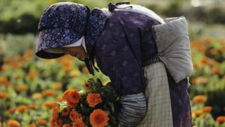 Anciana en Japón