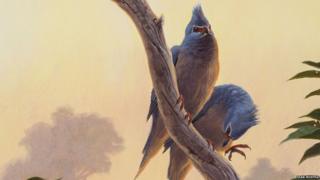 Artist’s impression of Tsidiiyazhi abini