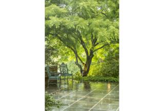 Sun Shower - Roger Foley / www.igpoty.com