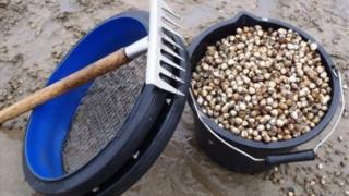 Cockle rake and bucket