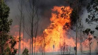 portugal fire
