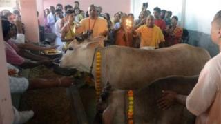 ভারতে হিন্দুরা গরুকে পবিত্র প্রাণী হিসেবে বিবেচনা করে থাকে। বহু রাজ্যেই গরু জবাই করা বেআইনি