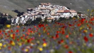 Edificios de Castelluccio vistos desde la planicie cubierta de amapolas rojas y scabiosas azules