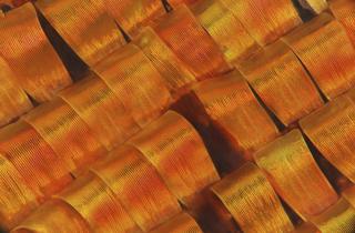 Moth scales - Mark R Smith, Macroscopic Solutions