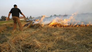 An Egyptian farmer burns hay stubbles in the Nile delta village of Damerah near al-Mansura City, 130 kms north of Cairo, 20 October 2007
