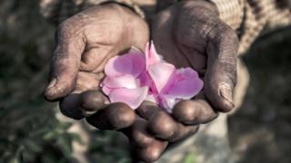 Petals held in hands