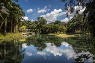 A view of the botanical gardens surrounding Inhotim