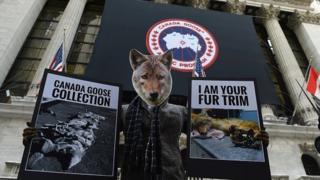 Animal rights protestor at New York stock exchange