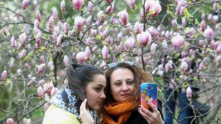 Люди фотографируются у магнолий в ботаническом саду имени А. Фомина в Киеве