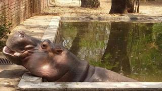 Gustavito en su piscina