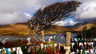 Fairy tree at Killary Harbour, County Galway, file pic