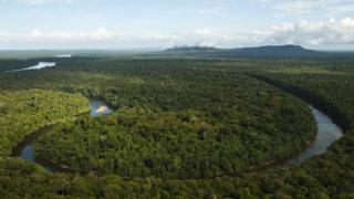 The Essequibo river